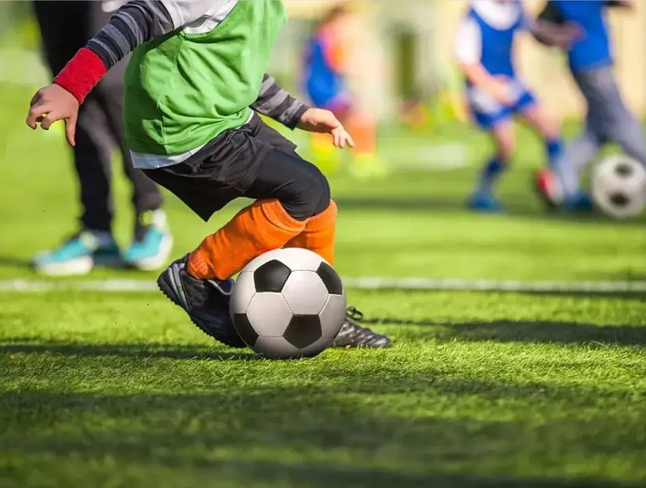 弗拉霍维奇 弗拉霍维奇