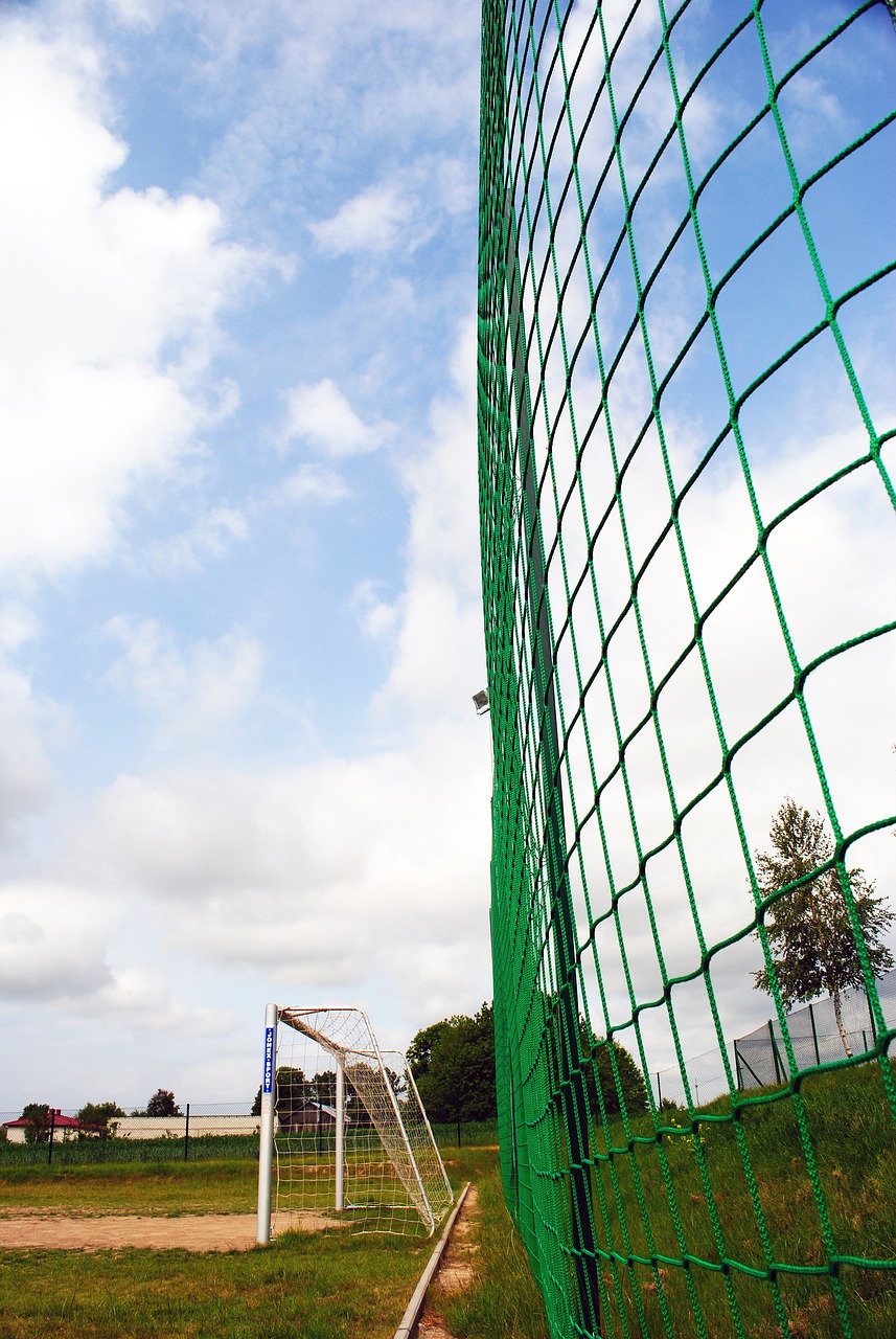 这句话不仅 这句话不仅