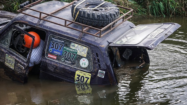 重新激活球 重新激活球