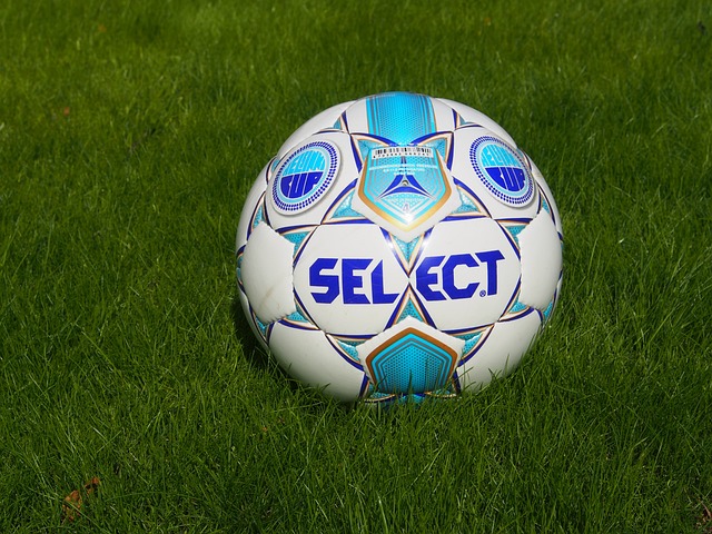 总冠军也有 总冠军也有