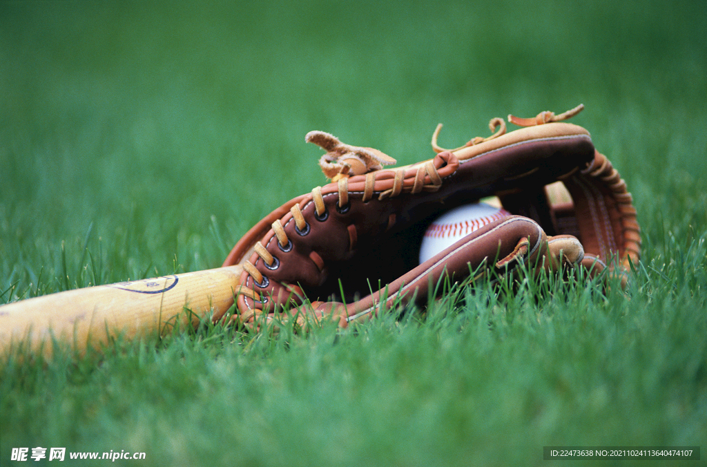 自我审视的 自我审视的