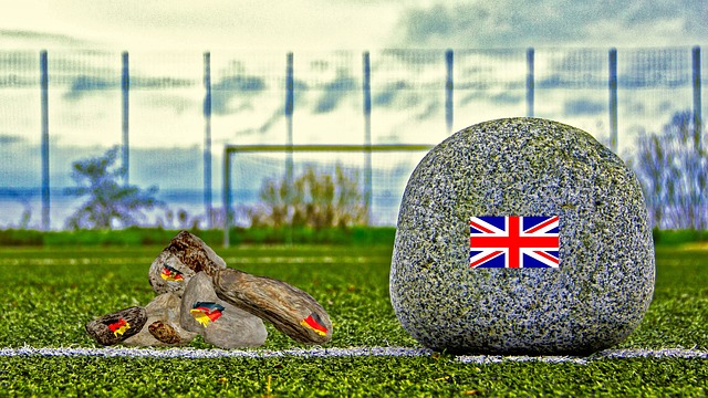 不仅展现了 不仅展现了