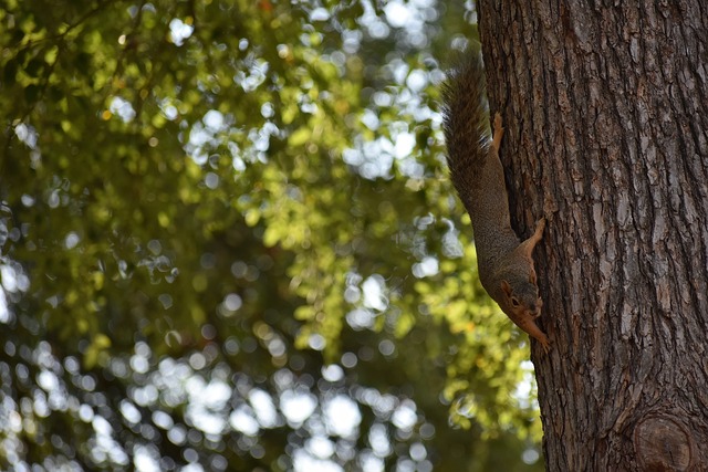 看好的情況 看好的情況
