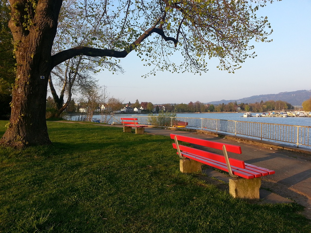 他们背后的 他们背后的