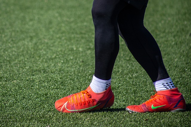 巩固了弗利 巩固了弗利